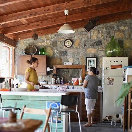 B&B Casa Dei Nonni Скарио Экстерьер фото